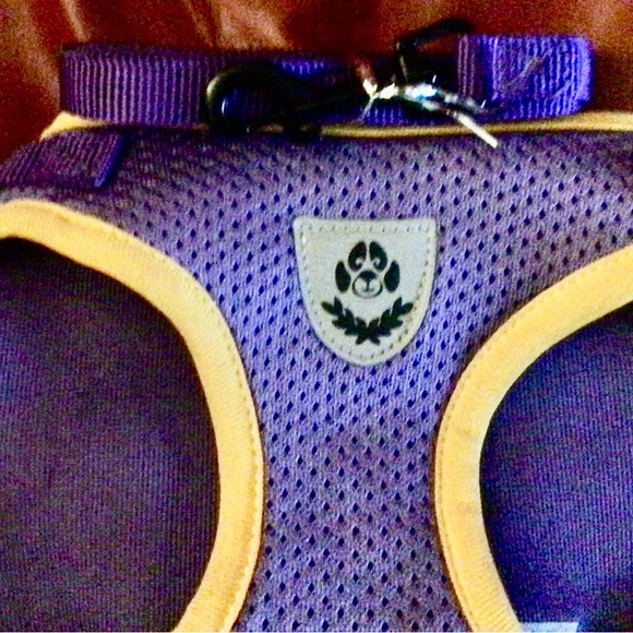 Dogs Harness and leash and dog brush,. new - Picture 4 of 16